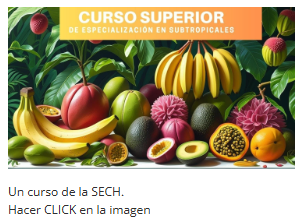 Curso SECH